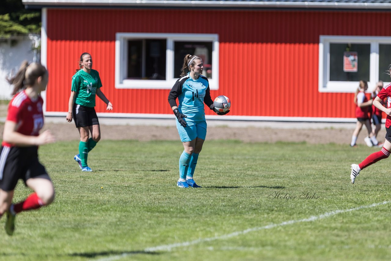 Bild 300 - F SG NieBar - IF Stjernen Flensborg : Ergebnis: 2:0